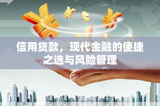 静乐信用贷款，现代金融的便捷之选与风险管理