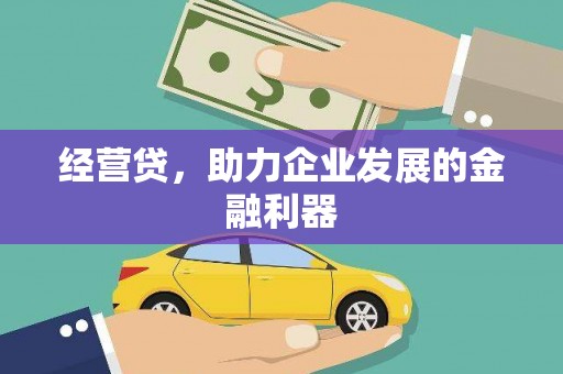 泗阳经营贷，助力企业发展的金融利器