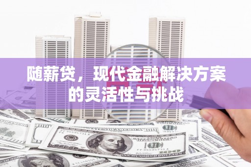 涵江随薪贷，现代金融解决方案的灵活性与挑战