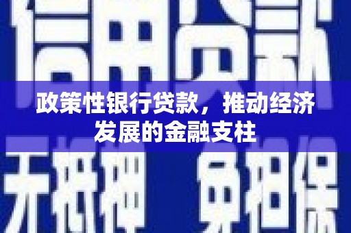 咸宁政策性银行贷款，推动经济发展的金融支柱