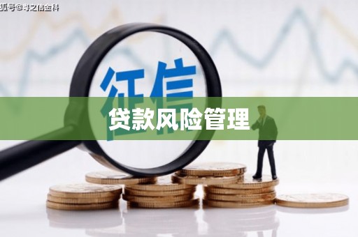 万峦贷款风险管理