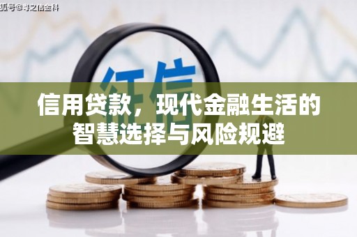 邓州信用贷款，现代金融生活的智慧选择与风险规避