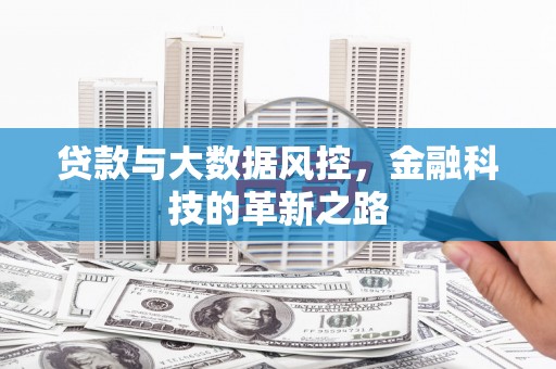 卢氏贷款与大数据风控，金融科技的革新之路