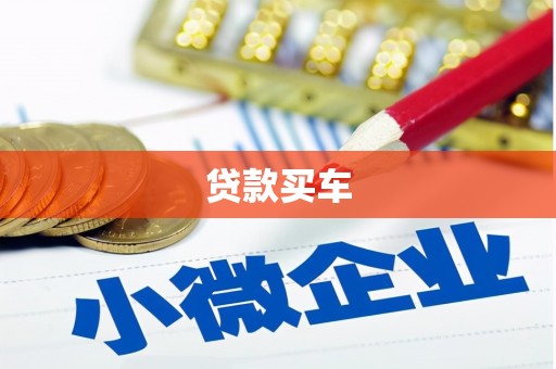 庆元贷款买车