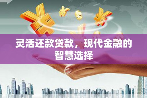保亭灵活还款贷款，现代金融的智慧选择