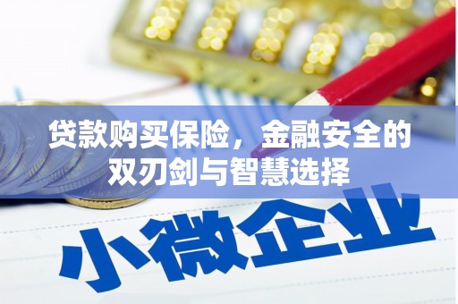 偃师贷款购买保险，金融安全的双刃剑与智慧选择