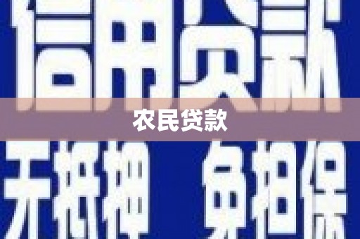 西海岸农民贷款