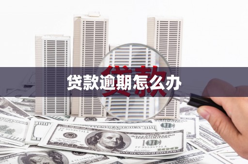 乌什贷款逾期怎么办