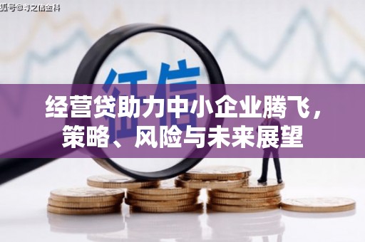 玄武经营贷助力中小企业腾飞，策略、风险与未来展望
