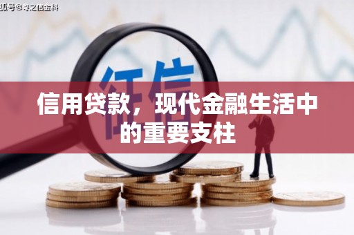 沙湾信用贷款，现代金融生活中的重要支柱