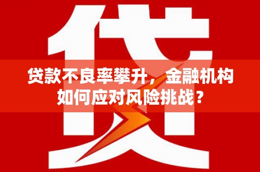南平贷款不良率攀升，金融机构如何应对风险挑战？