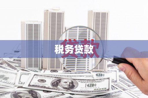 六横税务贷款
