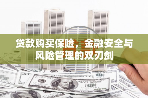 竹崎贷款购买保险，金融安全与风险管理的双刃剑