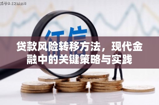 阿尔山贷款风险转移方法，现代金融中的关键策略与实践