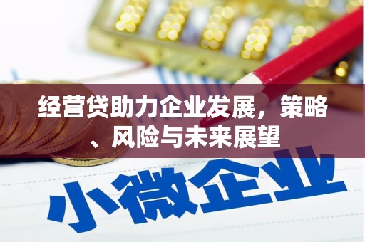 兴安经营贷助力企业发展，策略、风险与未来展望