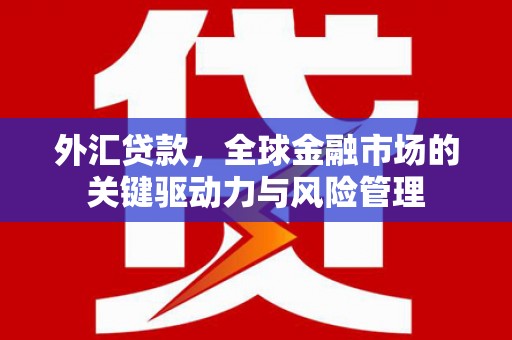 博湖外汇贷款，全球金融市场的关键驱动力与风险管理