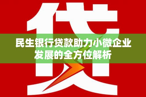 布袋民生银行贷款助力小微企业发展的全方位解析