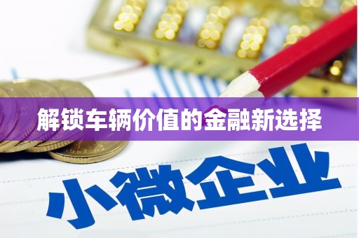 花都解锁车辆价值的金融新选择