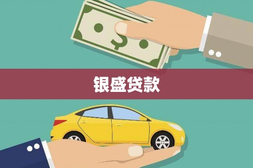 望城银盛贷款