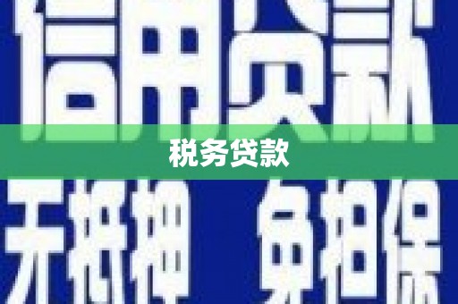 久治税务贷款