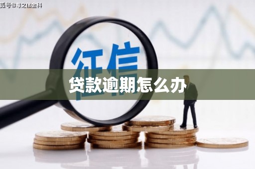 蓬江贷款逾期怎么办