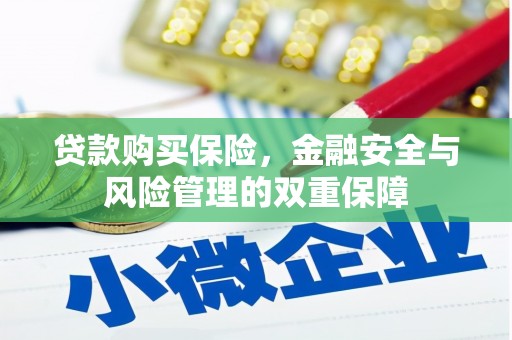 大社贷款购买保险，金融安全与风险管理的双重保障
