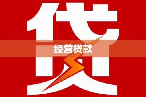 颍泉经营贷款