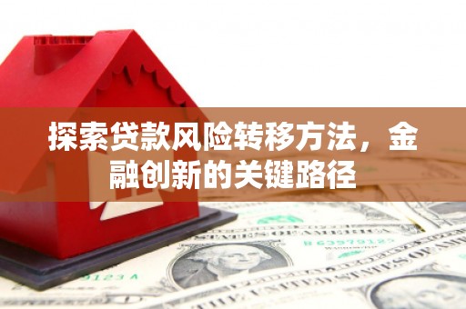 沙雅探索贷款风险转移方法，金融创新的关键路径
