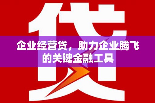 芦洲企业经营贷，助力企业腾飞的关键金融工具
