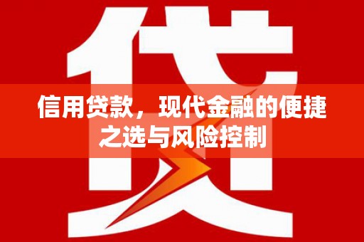 沙湾信用贷款，现代金融的便捷之选与风险控制