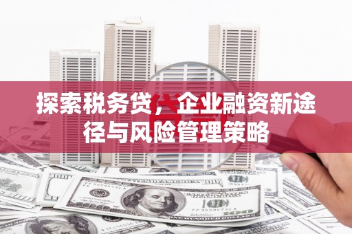 廉江探索税务贷，企业融资新途径与风险管理策略