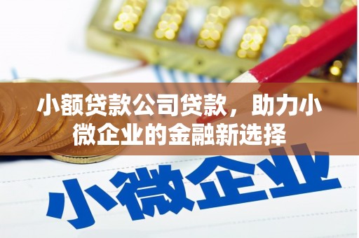 灵武小额贷款公司贷款，助力小微企业的金融新选择