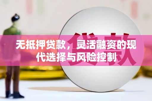 定西无抵押贷款，灵活融资的现代选择与风险控制