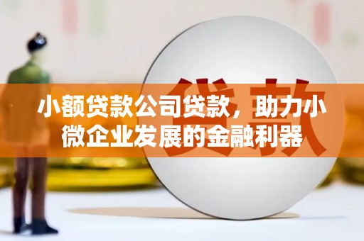 城东小额贷款公司贷款，助力小微企业发展的金融利器