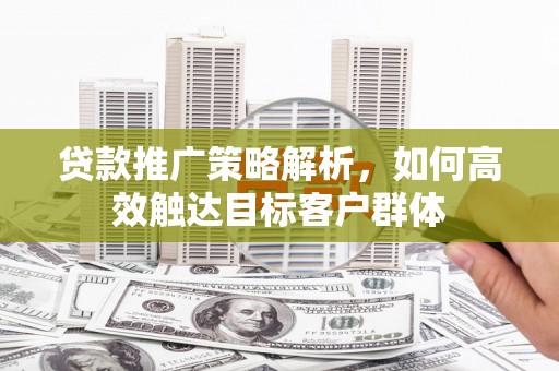 舞阳贷款推广策略解析，如何高效触达目标客户群体