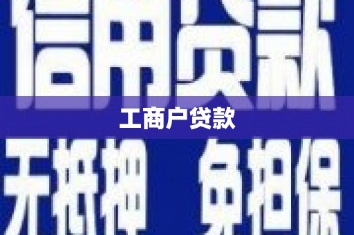 宝兴工商户贷款