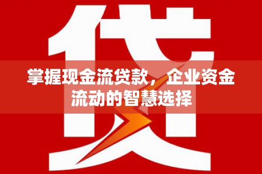 牧野掌握现金流贷款，企业资金流动的智慧选择