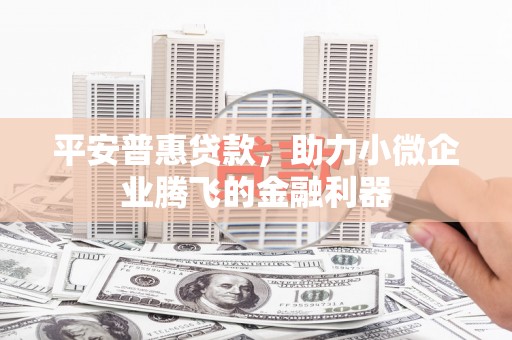 宣威平安普惠贷款，助力小微企业腾飞的金融利器