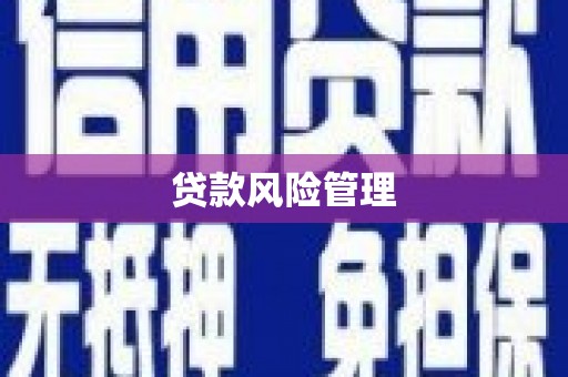 北竿贷款风险管理