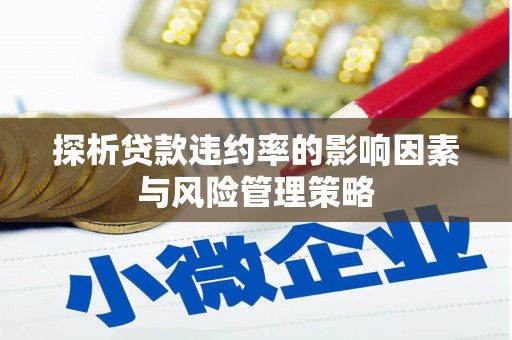 安岳探析贷款违约率的影响因素与风险管理策略