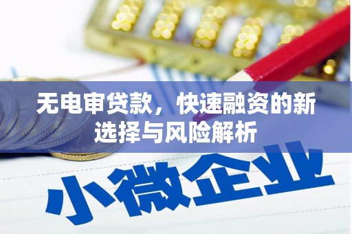 泸溪无电审贷款，快速融资的新选择与风险解析