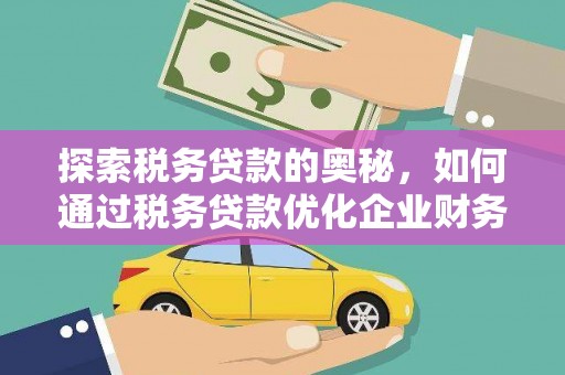 平镇探索税务贷款的奥秘，如何通过税务贷款优化企业财务