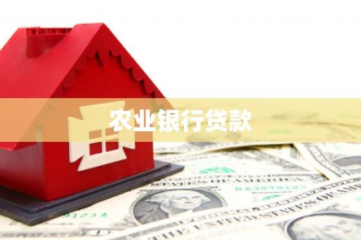 枝江农业银行贷款