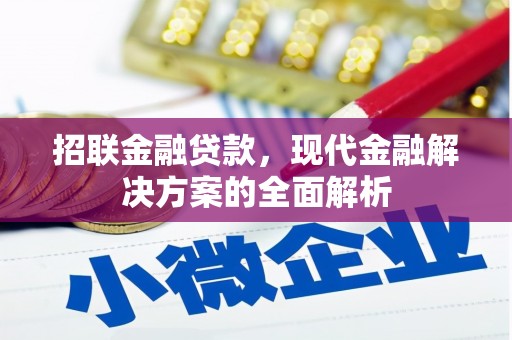 西华招联金融贷款，现代金融解决方案的全面解析