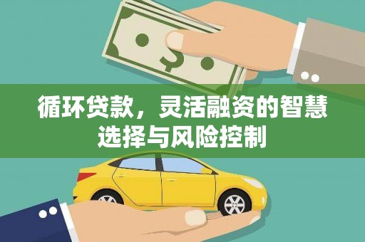光明新区循环贷款，灵活融资的智慧选择与风险控制
