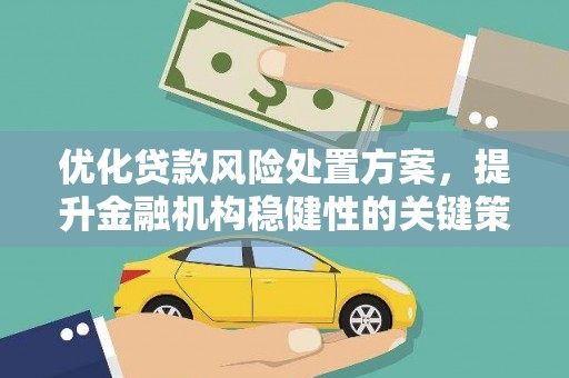 尖扎优化贷款风险处置方案，提升金融机构稳健性的关键策略