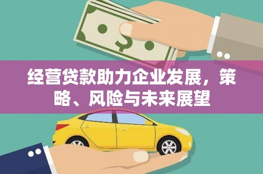 沙湾经营贷款助力企业发展，策略、风险与未来展望