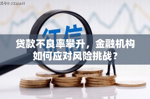 启东贷款不良率攀升，金融机构如何应对风险挑战？