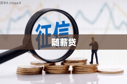 昌宁随薪贷