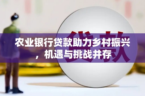 文峰农业银行贷款助力乡村振兴，机遇与挑战并存